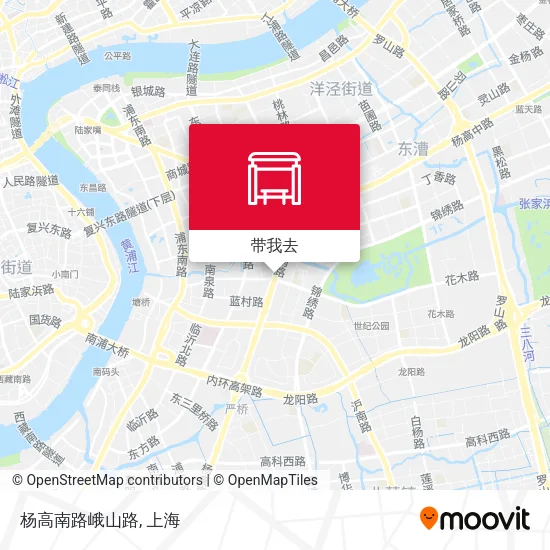 杨高南路峨山路地图