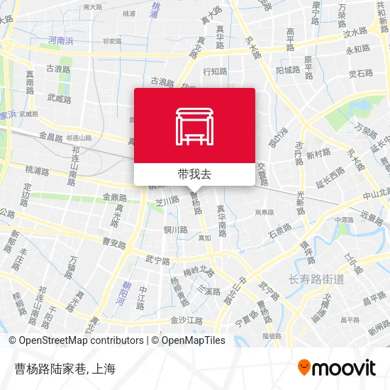 曹杨路陆家巷地图