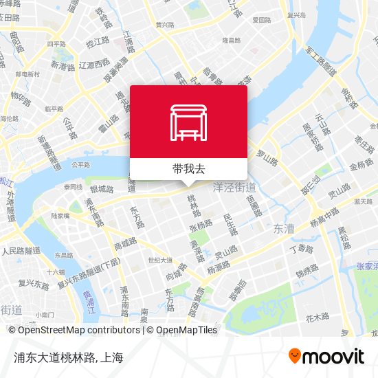 浦东大道桃林路地图