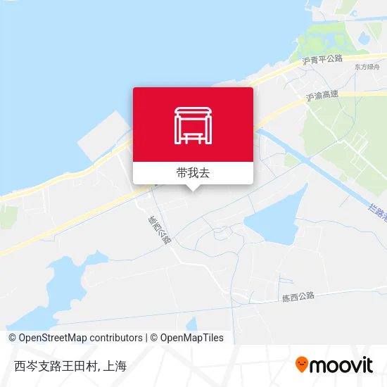 西岑支路王田村地图