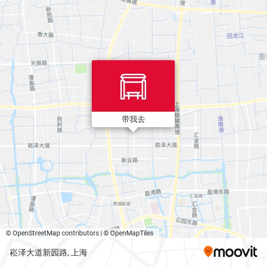 崧泽大道新园路地图