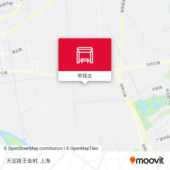 天淀路王金村地图