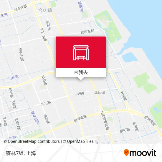 森林7组地图