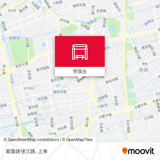 紫薇路张江路地图