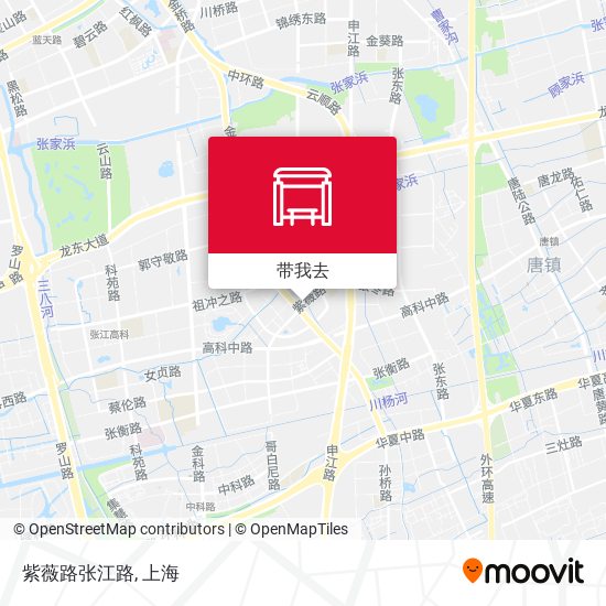 紫薇路张江路地图