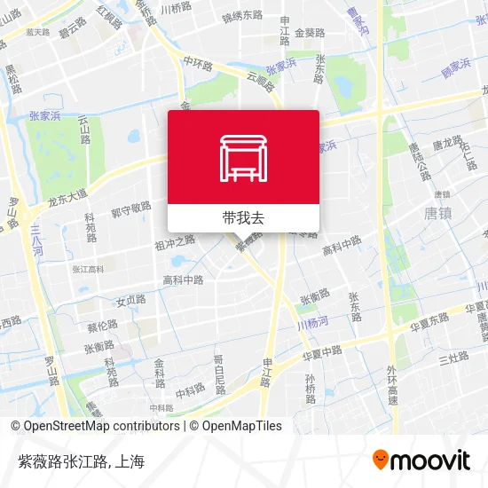 紫薇路张江路地图