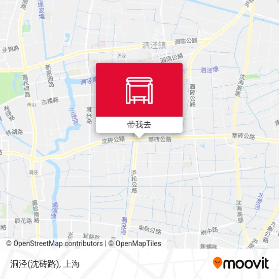洞泾(沈砖路)地图