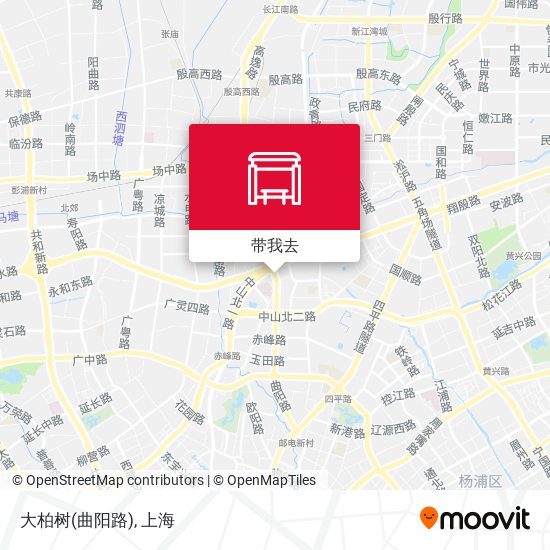 大柏树(曲阳路)地图