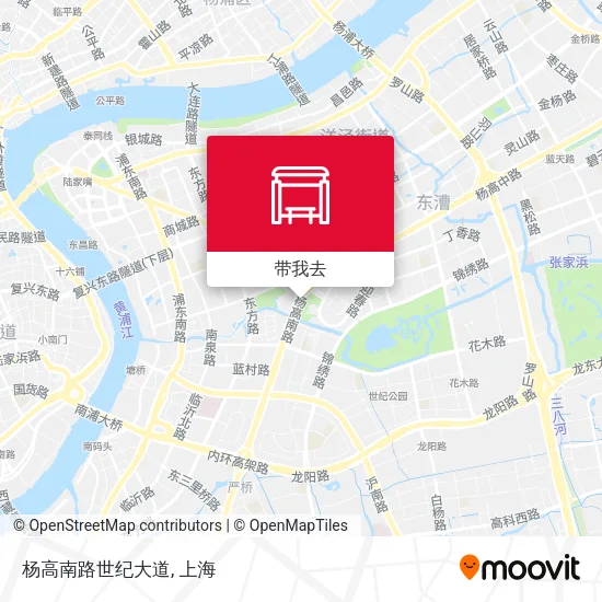 杨高南路世纪大道地图