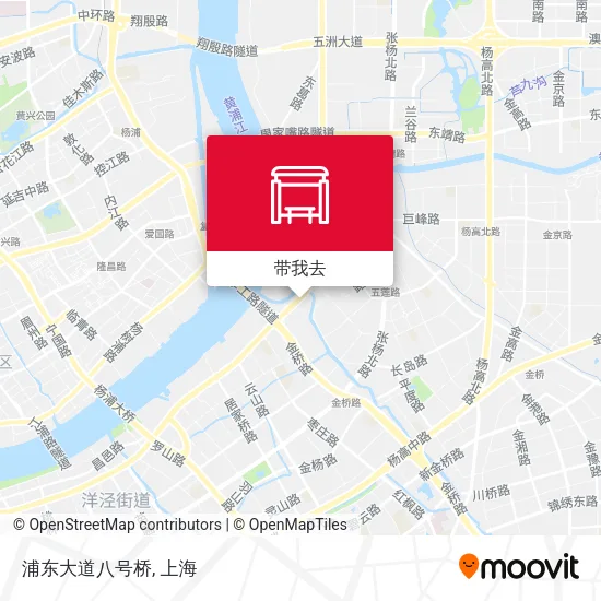 浦东大道八号桥地图