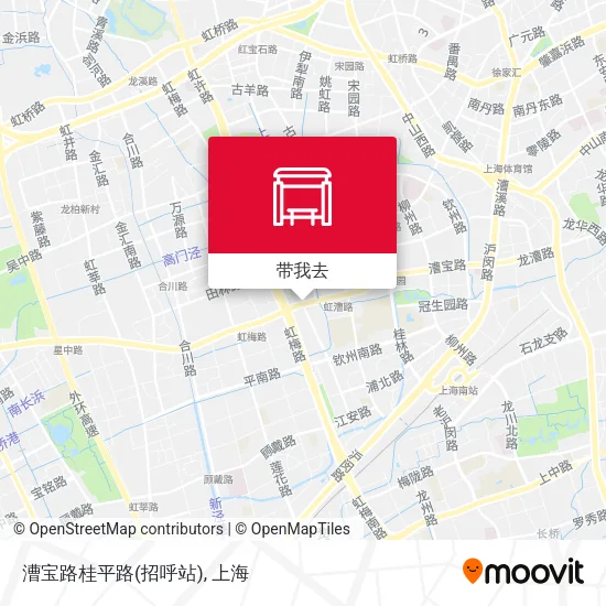 漕宝路桂平路(招呼站)地图