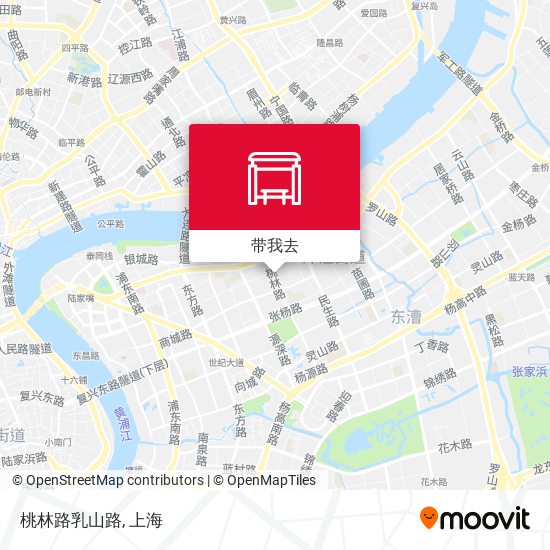 桃林路乳山路地图