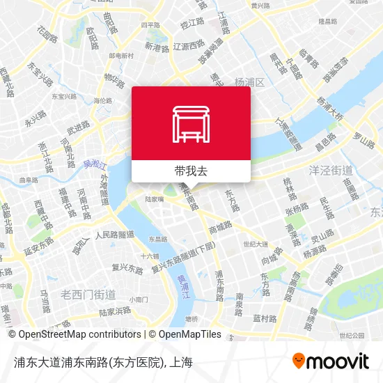 浦东大道浦东南路(东方医院)地图