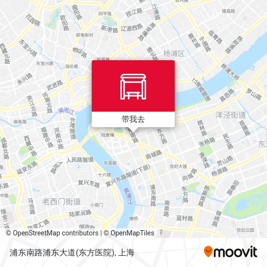 浦东南路浦东大道(东方医院)地图