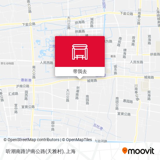 听潮南路沪南公路(天雅村)地图