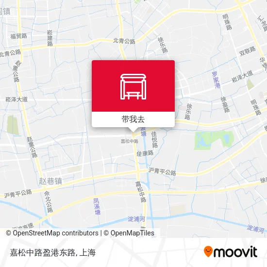 嘉松中路盈港东路地图
