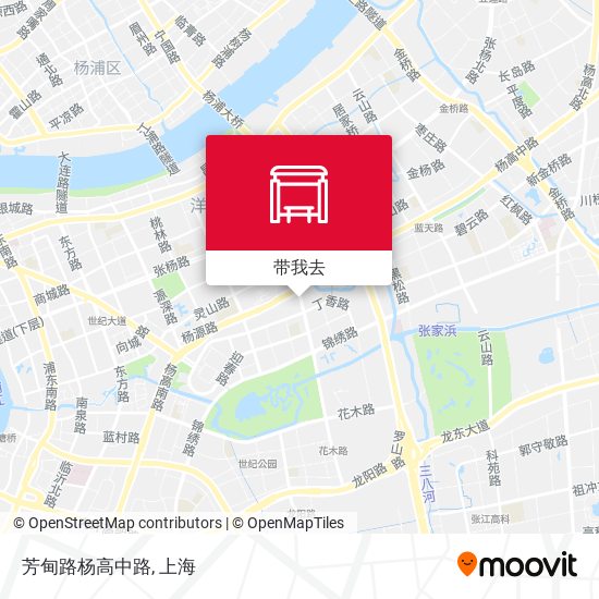 芳甸路杨高中路地图