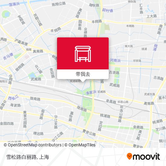 雪松路白丽路地图