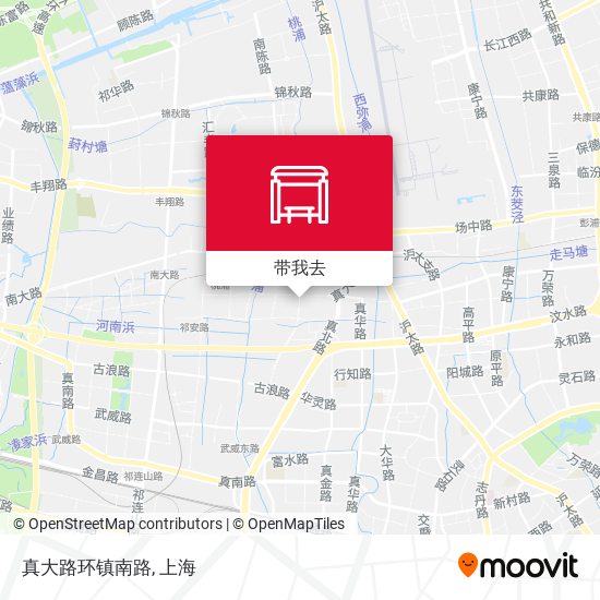 真大路环镇南路地图