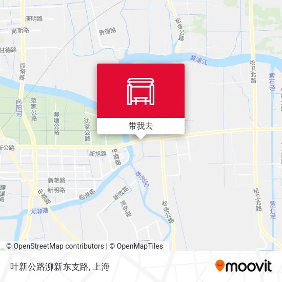 叶新公路泖新东支路地图