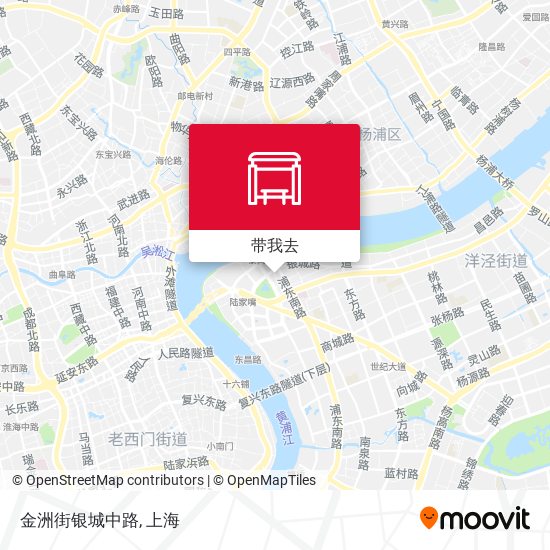 金洲街银城中路地图