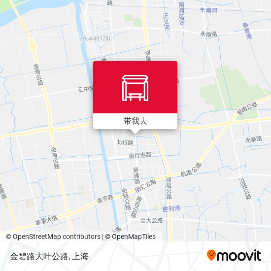金碧路大叶公路地图