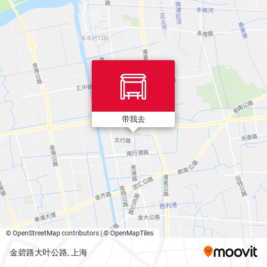 金碧路大叶公路地图