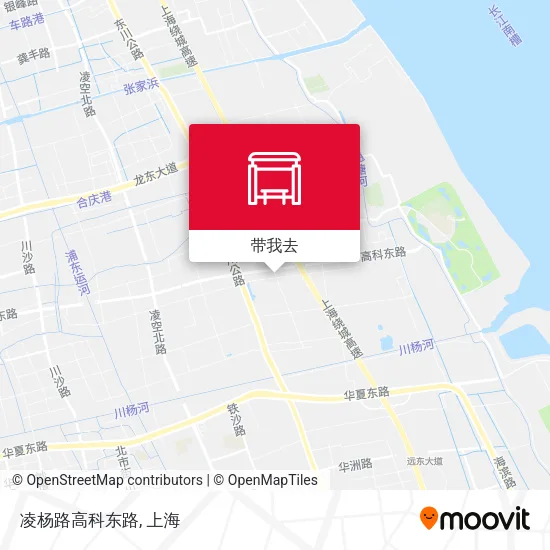 凌杨路高科东路地图