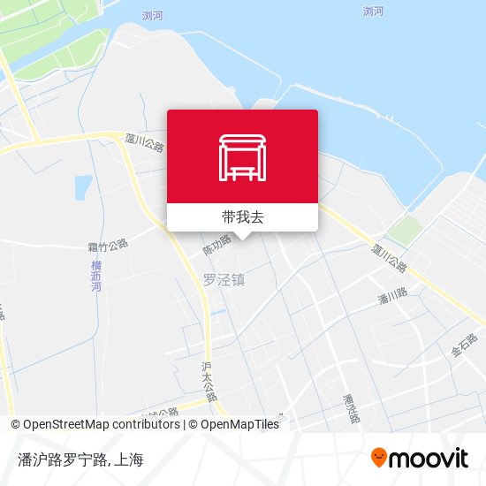 潘沪路罗宁路地图