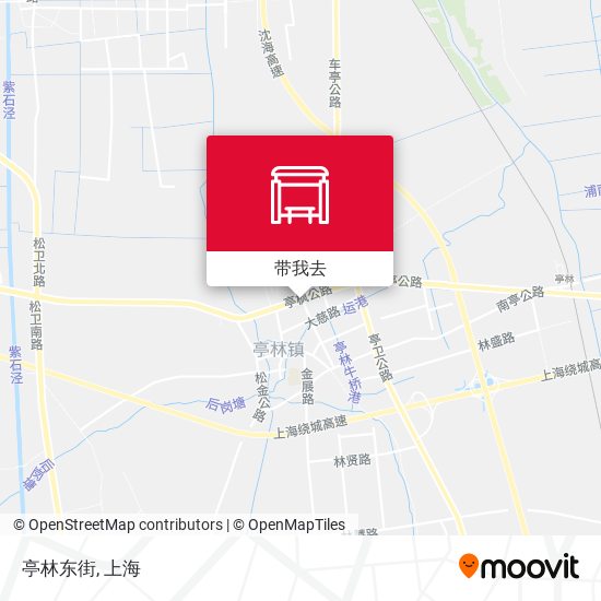 亭林东街地图