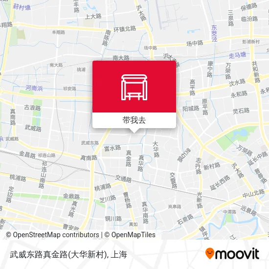 武威东路真金路(大华新村)地图