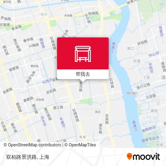 双柏路景洪路地图