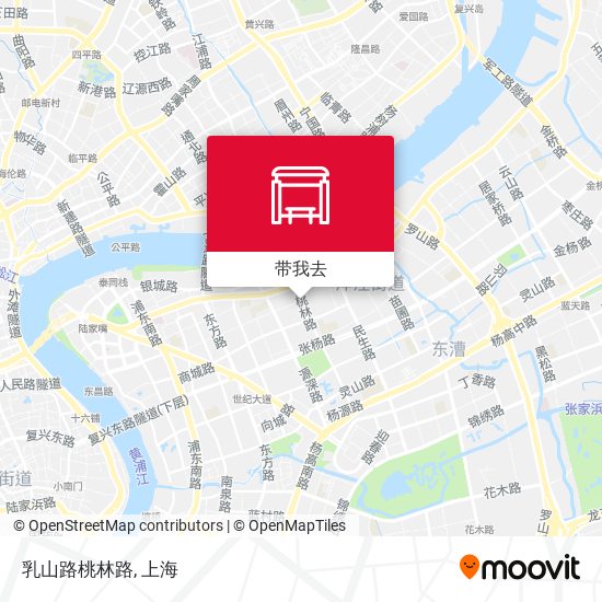 乳山路桃林路地图