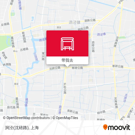 洞泾(沈砖路)地图
