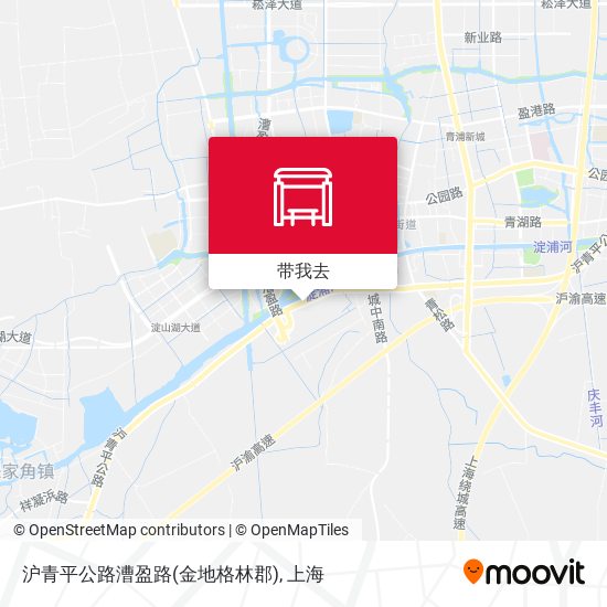 沪青平公路漕盈路(金地格林郡)地图