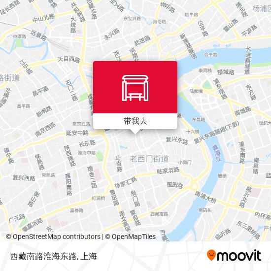 西藏南路淮海东路地图