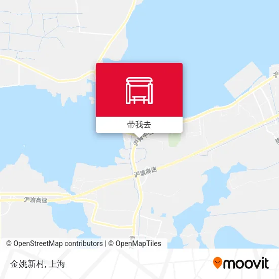 金姚新村地图
