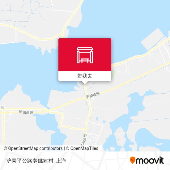 沪青平公路老姚簖村地图