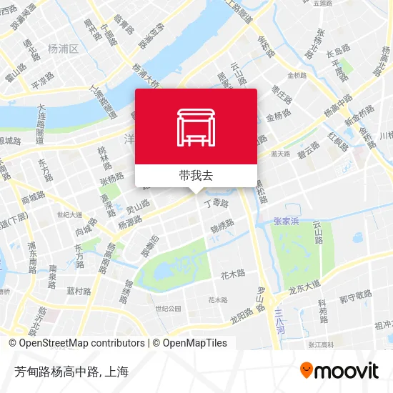 芳甸路杨高中路地图