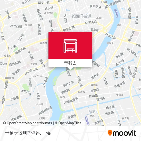 世博大道塘子泾路地图