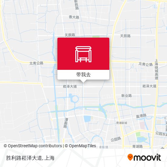 胜利路崧泽大道地图