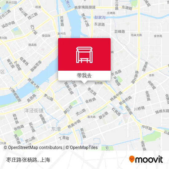 枣庄路张杨路地图