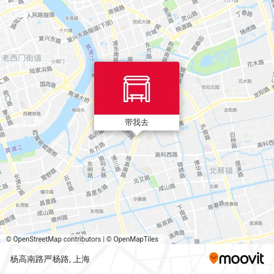 杨高南路严杨路地图