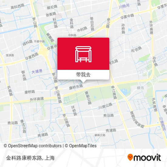 金科路康桥东路地图