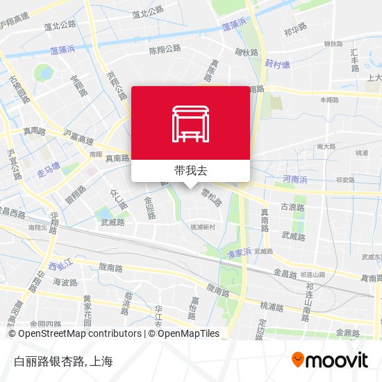 白丽路银杏路地图