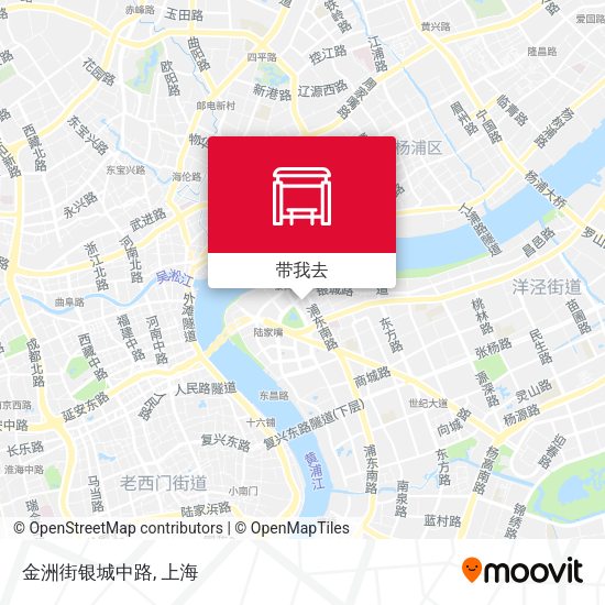 金洲街银城中路地图