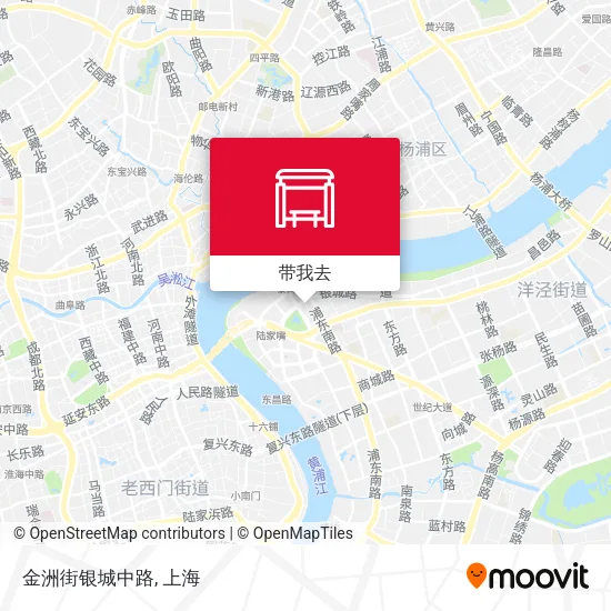 金洲街银城中路地图