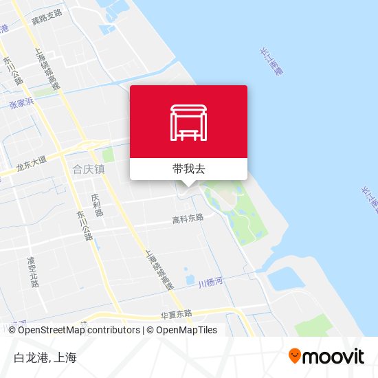 白龙港地图