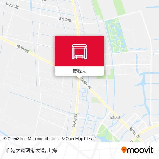 临港大道两港大道地图