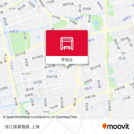 张江路紫薇路地图